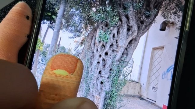 Smart Prosthetics 封面